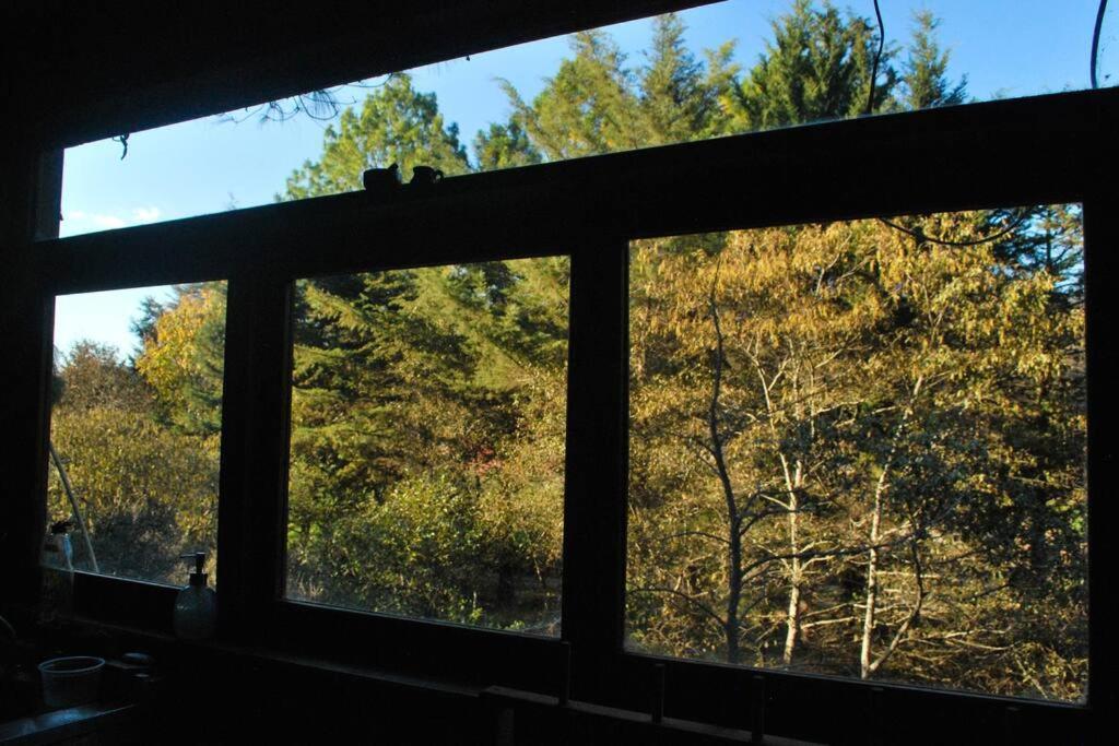 Hostal Casa 4 Estaciones, Coliving & Nature San Cristóbal de Las Casas Buitenkant foto