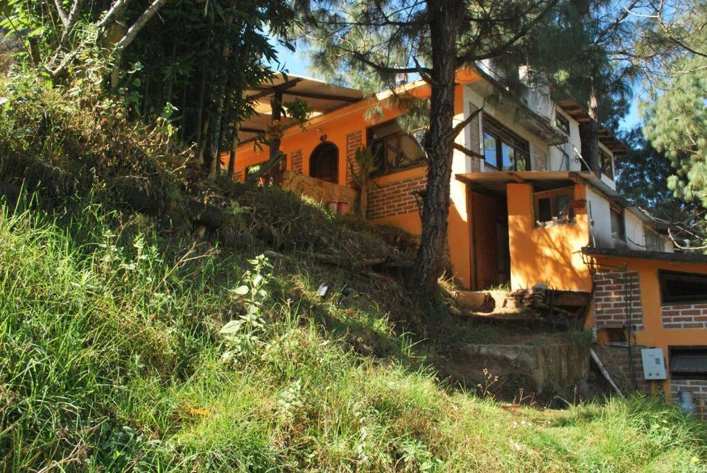 Hostal Casa 4 Estaciones, Coliving & Nature San Cristóbal de Las Casas Buitenkant foto