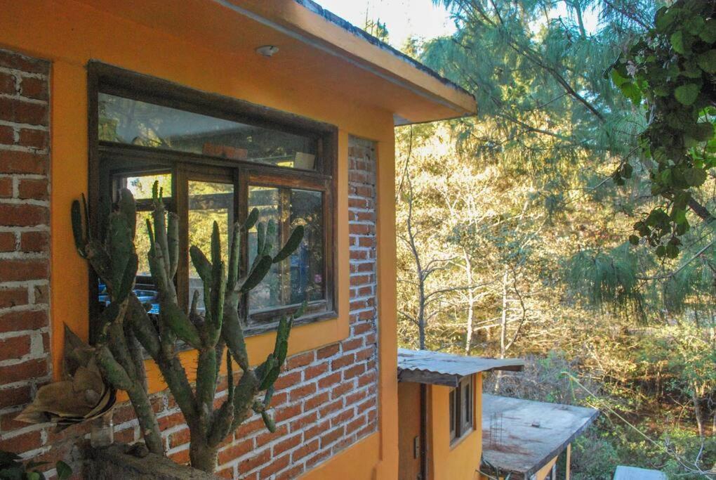 Hostal Casa 4 Estaciones, Coliving & Nature San Cristóbal de Las Casas Buitenkant foto