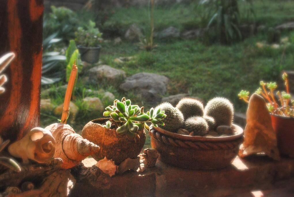 Hostal Casa 4 Estaciones, Coliving & Nature San Cristóbal de Las Casas Buitenkant foto