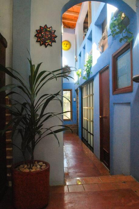 Hostal Casa 4 Estaciones, Coliving & Nature San Cristóbal de Las Casas Buitenkant foto