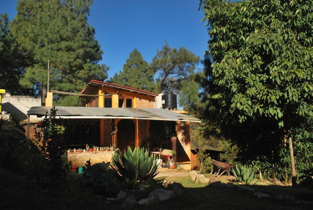Hostal Casa 4 Estaciones, Coliving & Nature San Cristóbal de Las Casas Buitenkant foto